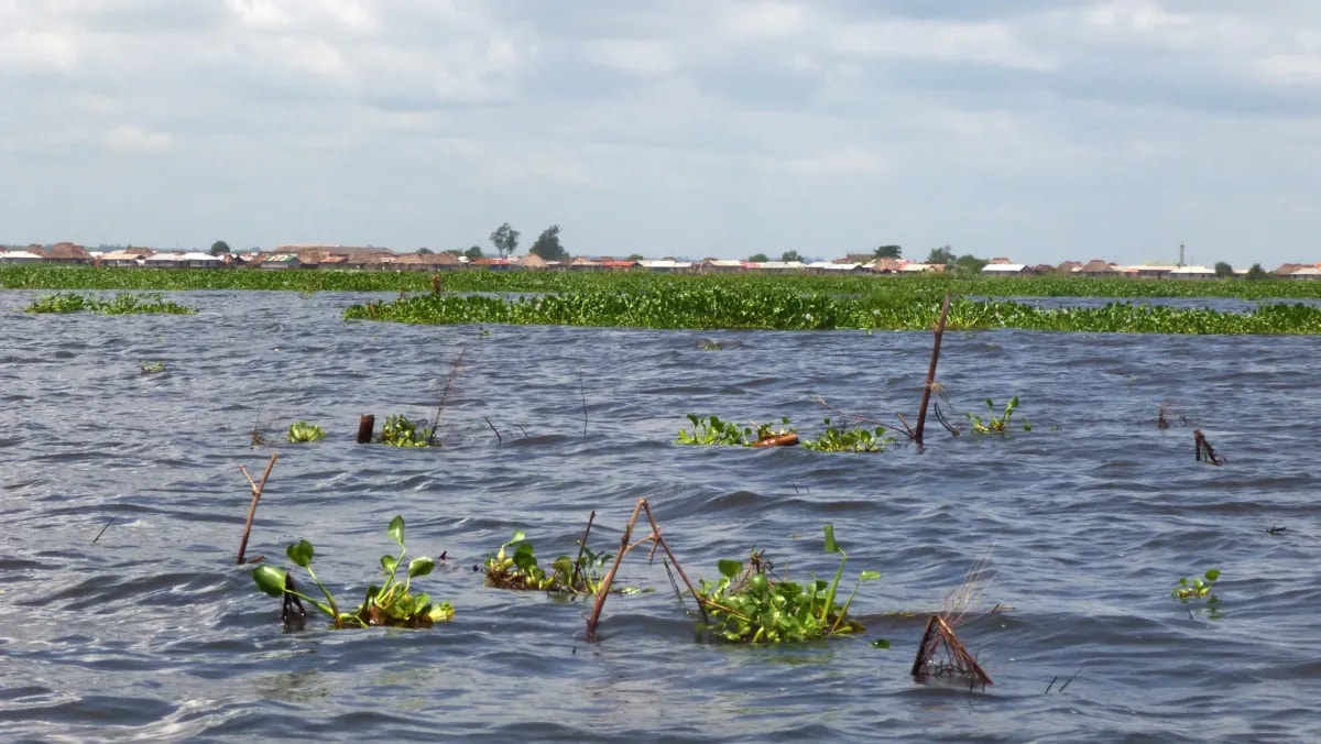 Cotonou : la lagune Nokoué se comble à un rythme préoccupant