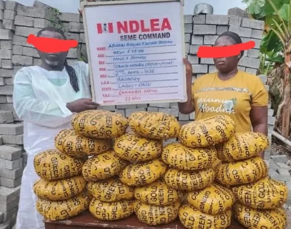 Trafic de drogue au Nigeria : un pasteur et son épouse interpellés à la frontière de Sèmè-Kraké